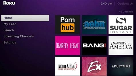 roku porn code|How To Watch Porn On Roku – Step by Step